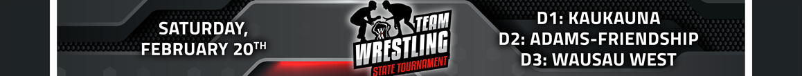 State Team Wrestling 2021 Link